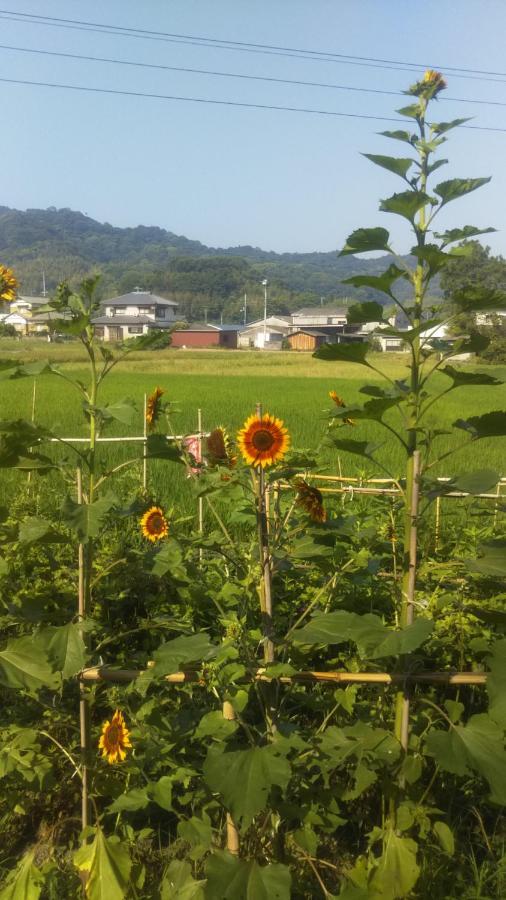 Raibrasil Guest House Sanuki  Buitenkant foto