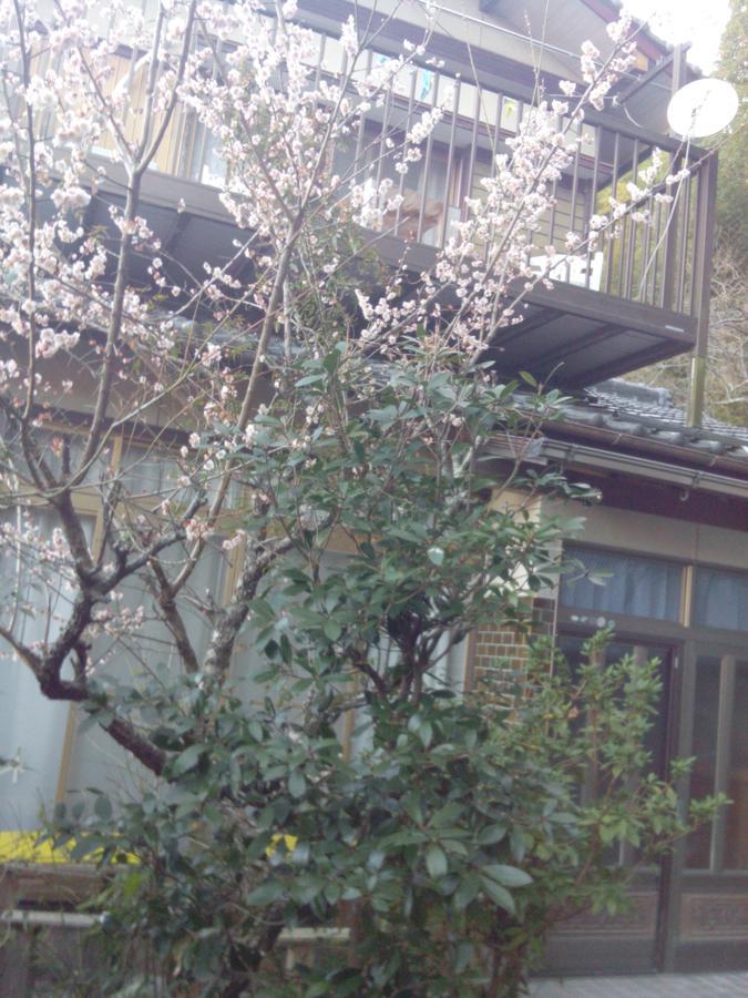 Raibrasil Guest House Sanuki  Buitenkant foto